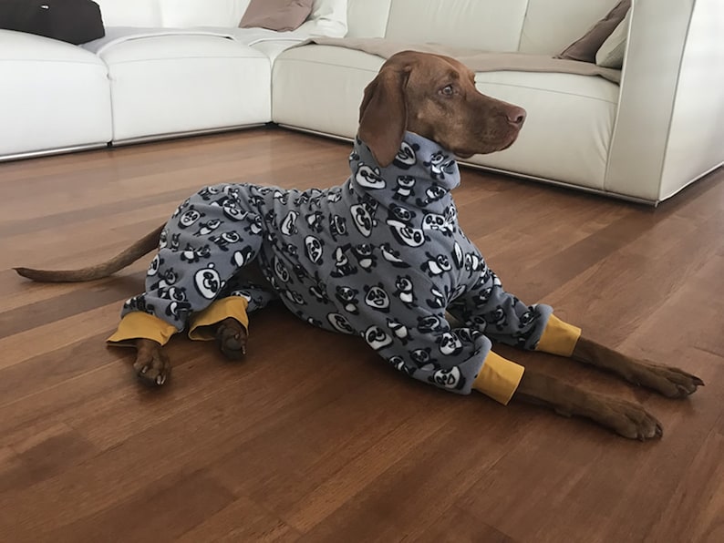 DOWNLOAD SEWING PATTERN / Vizsla Pajamas sizes Medium and Large / Paper sizes: A4 Letter Poster image 2