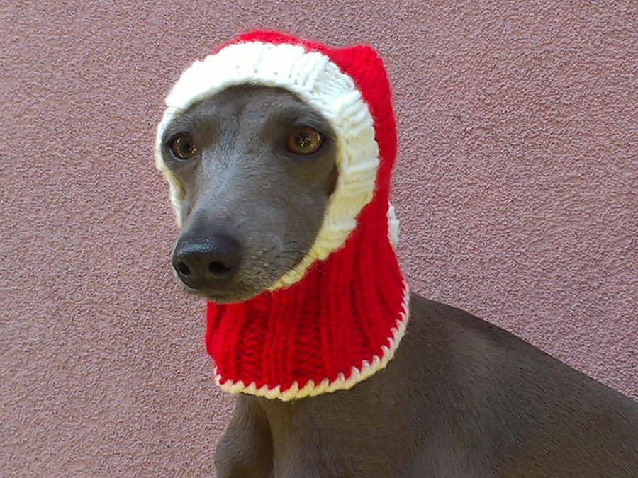 DOWNLOAD KNITTING PATTERN / Santa Dog Hat Knitting Pattern / Etsy