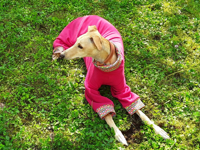 2 in 1 DOWNLOAD SEWING PATTERNS 2 Greyhound Pajamas 1 Size Small Paper sizes: A4 Letter Poster
