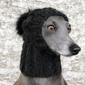 May include: A grey and white dog wearing a black knit hat with a fluffy pom pom. The hat covers the dog's ears and neck.