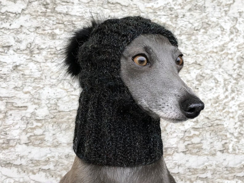 May include: A grey and white dog wearing a black knit hat with a fluffy pom pom. The hat covers the dog's ears and neck.