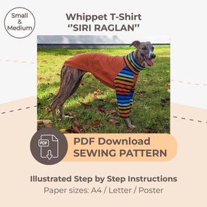 Puede incluir: Un perro whippet con una camiseta color óxido con mangas y cuello a rayas. La camiseta es un diseño "SIRI RAGLAN". La imagen incluye el texto "PDF Download SEWING PATTERN" y "Illustrated Step by Step Instructions".