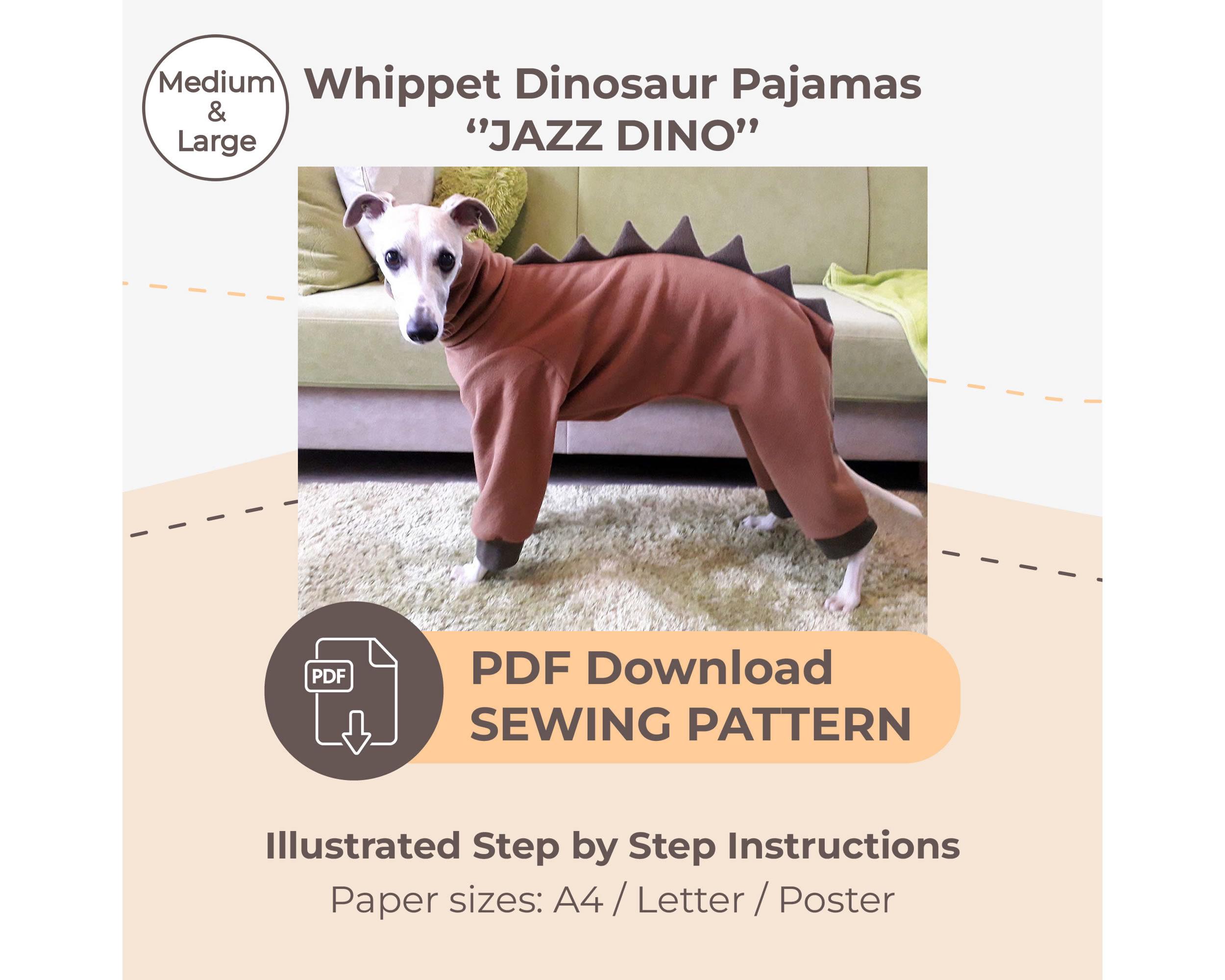 Dinosaur Dog Pajamas