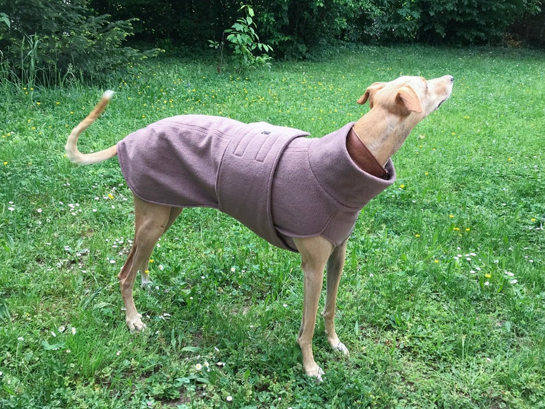 DOWNLOAD SEWING PATTERN / Greyhound Coat Sizes Xlarge and Xxlarge