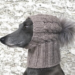 May include: A grey dog wearing a brown knitted hat with a grey fur pom pom.
