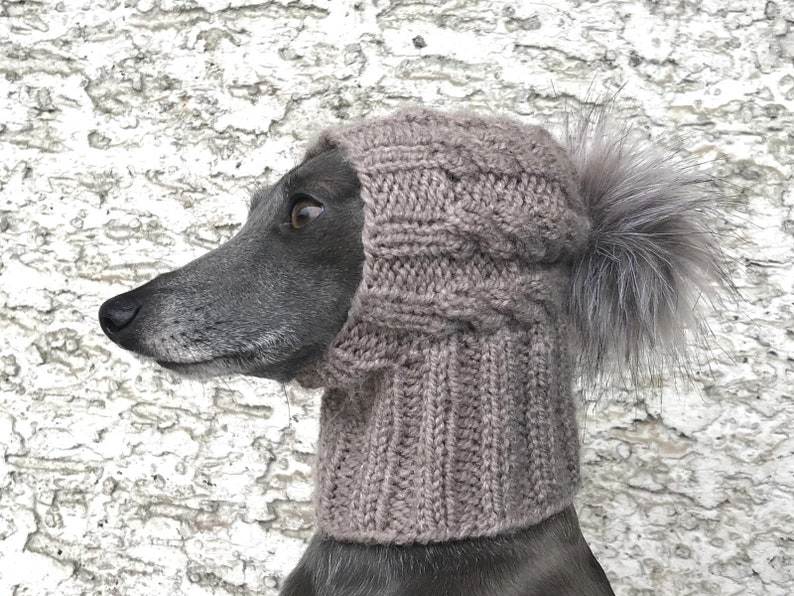 May include: A grey dog wearing a brown knitted hat with a grey fur pom pom.