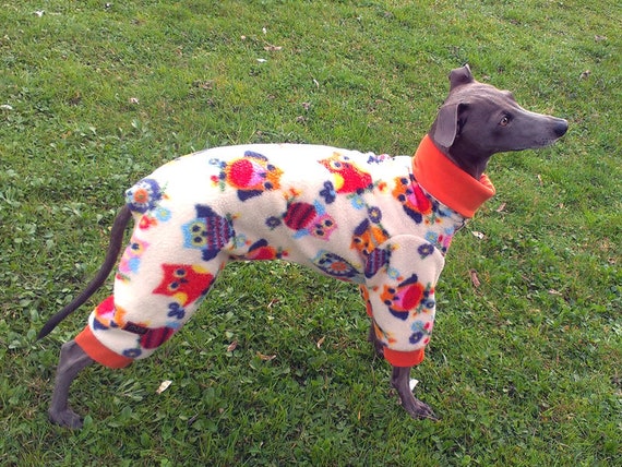Italian hotsell greyhound pajamas