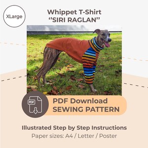 May include: A whippet dog wearing a rust-colored shirt with striped sleeves. The shirt is labeled "Whippet T-Shirt 'SIRI RAGLAN'" and is an XL size. The image also includes a PDF download sewing pattern with illustrated instructions.