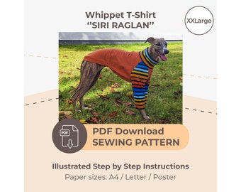 DOWNLOAD SEWING PATTERN / Whippet T-Shirt - Single Size XXLarge / Paper sizes: A4 - Letter - Poster