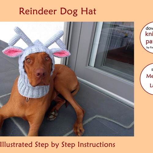 DOWNLOAD KNITTING PATTERN / Reindeer Dog Hat Knitting Pattern Etsy