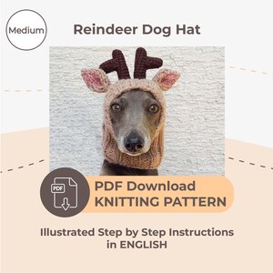 Könnte beinhalten: Strickanleitung für eine Rentier-Hunde-Mütze. Die Anleitung enthält illustrierte Schritt-für-Schritt-Anleitungen auf Englisch. PDF-Download.