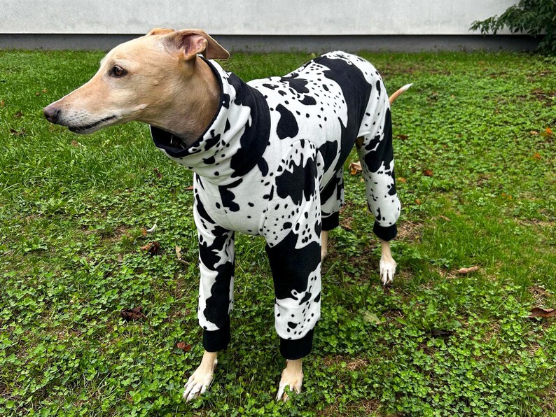 DOWNLOAD SEWING PATTERN / Greyhound Pajamas With a Zipper – Sizes ...
