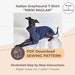 see more listings in the Italian Greyhound section