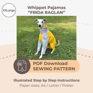 Könnte beinhalten: Ein Whippet-Hund trägt einen gelben Pyjama mit grauen und blauen Ärmeln und einem grauen Kragen. Der Pyjama ist mit "FRIDA RAGLAN" gekennzeichnet und in der Größe XXL erhältlich. Das Bild enthält auch eine PDF-Download-Schnittmusteranleitung.