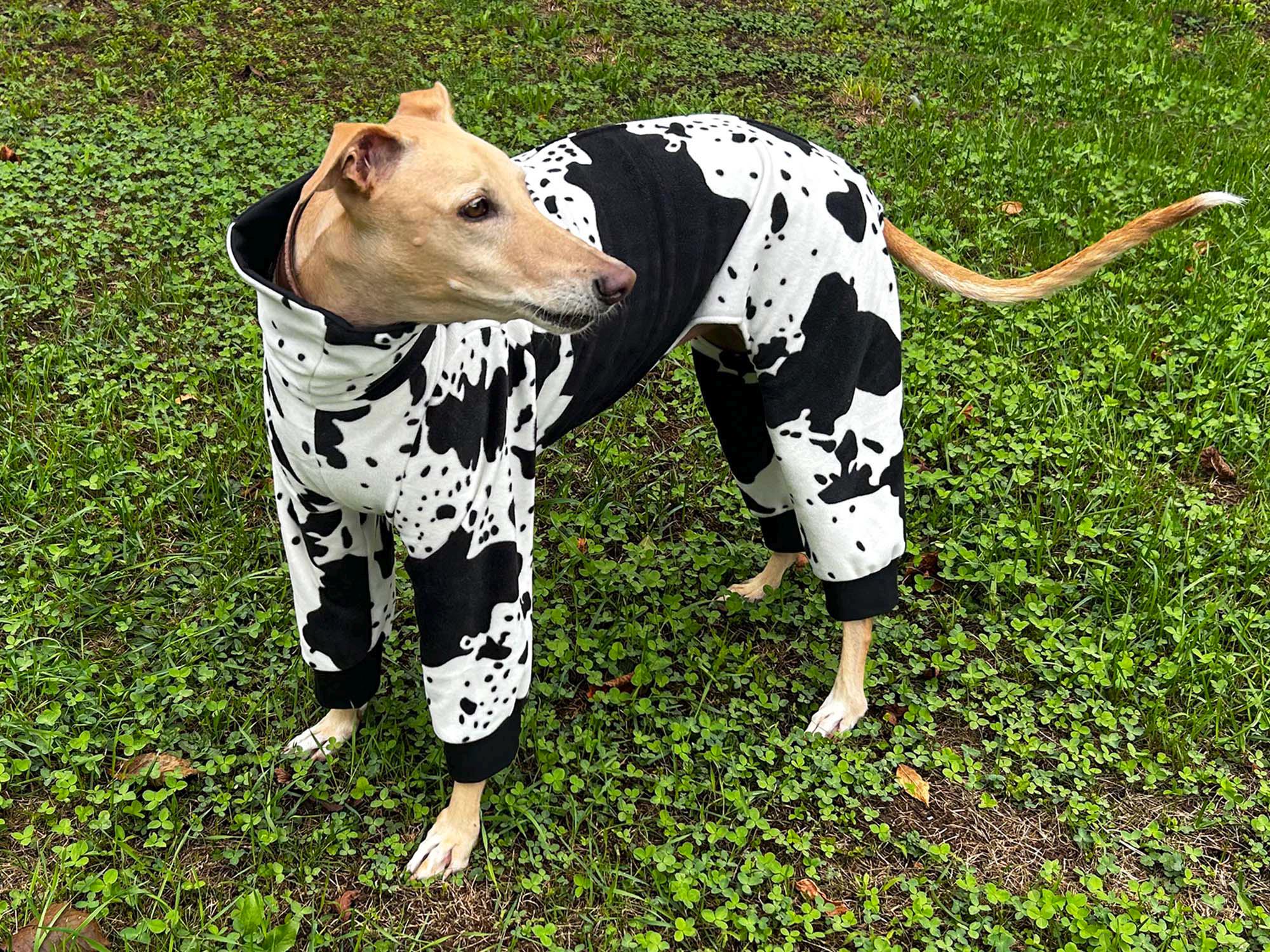 DOWNLOAD SEWING PATTERN / Greyhound Pajamas With a Zipper – Sizes ...