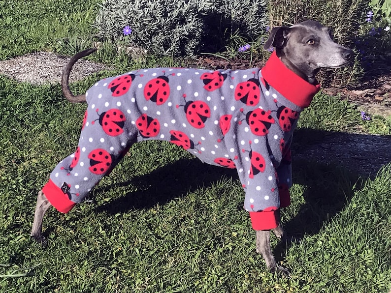 DOWNLOAD SEWING PATTERN / Italian Greyhound Pajamas Single Size XSmall / Paper sizes: A4 Letter Poster image 4