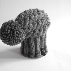 May include: Gray knitted beanie with a large pom pom on top. The beanie has a cable knit pattern and a small black label with a white logo.