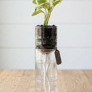 Maceta de autorriego reciclada / Maceta para plantas de interior hecha con una botella de vidrio reciclada / Regalo ecológico para amantes de las plantas