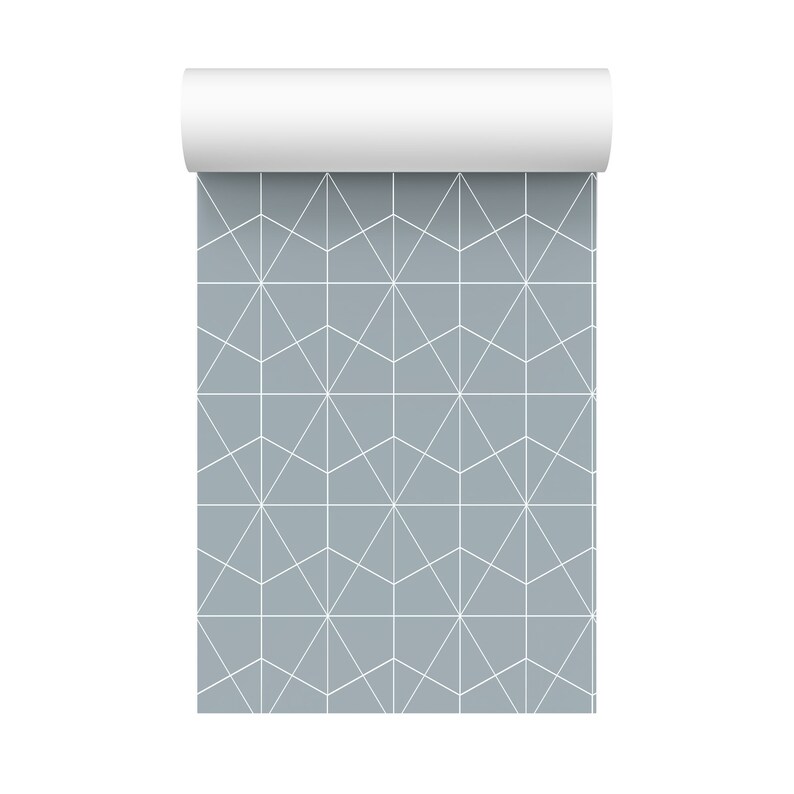 Hexagon Geometric Wallpaper Office and Home Decor Self Etsy