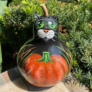 FALL PUMPKIN CAT Gourd, Hand Painted Gourd, Black Cat w/Green Eyes, Fall Decor, Thanksgiving Decor, Halloween Decor, For the Cat Person!
