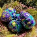 see more listings in the Hand Painted Wooden Eggs section