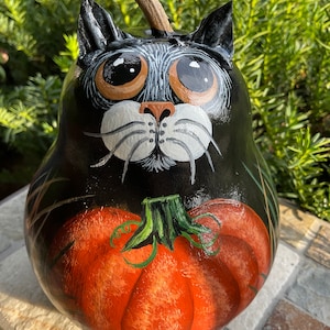 FALL PUMPKIN CAT Gourd, Hand Painted Gourd, Fall Decor, Thanksgiving Decor, Halloween Decor, Cat Lover/Collector Item, Unique Gourd Art