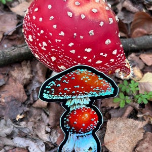 Amanita Muscaria 菌類ステッカー、キノコジャーナルステッカー、ホログラフィックステッカー、菌類愛好家へのギフト、自然愛好家へのギフト、菌類アートステッカー