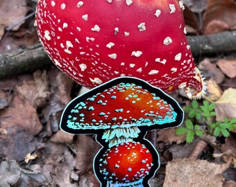 Amanita Muscaria Fungi Sticker, Mushroom journal sticker, holographic sticker, fungi lovers gift, gifts for nature lovers, fungi art sticker