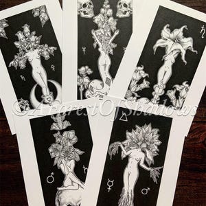 Poison Plant A5 Art Print Altar Card, arte de mandrágora, arte de eléboro, arte de acónito, arte de belladona mortal, arte de datura, decoración de pared de brujas