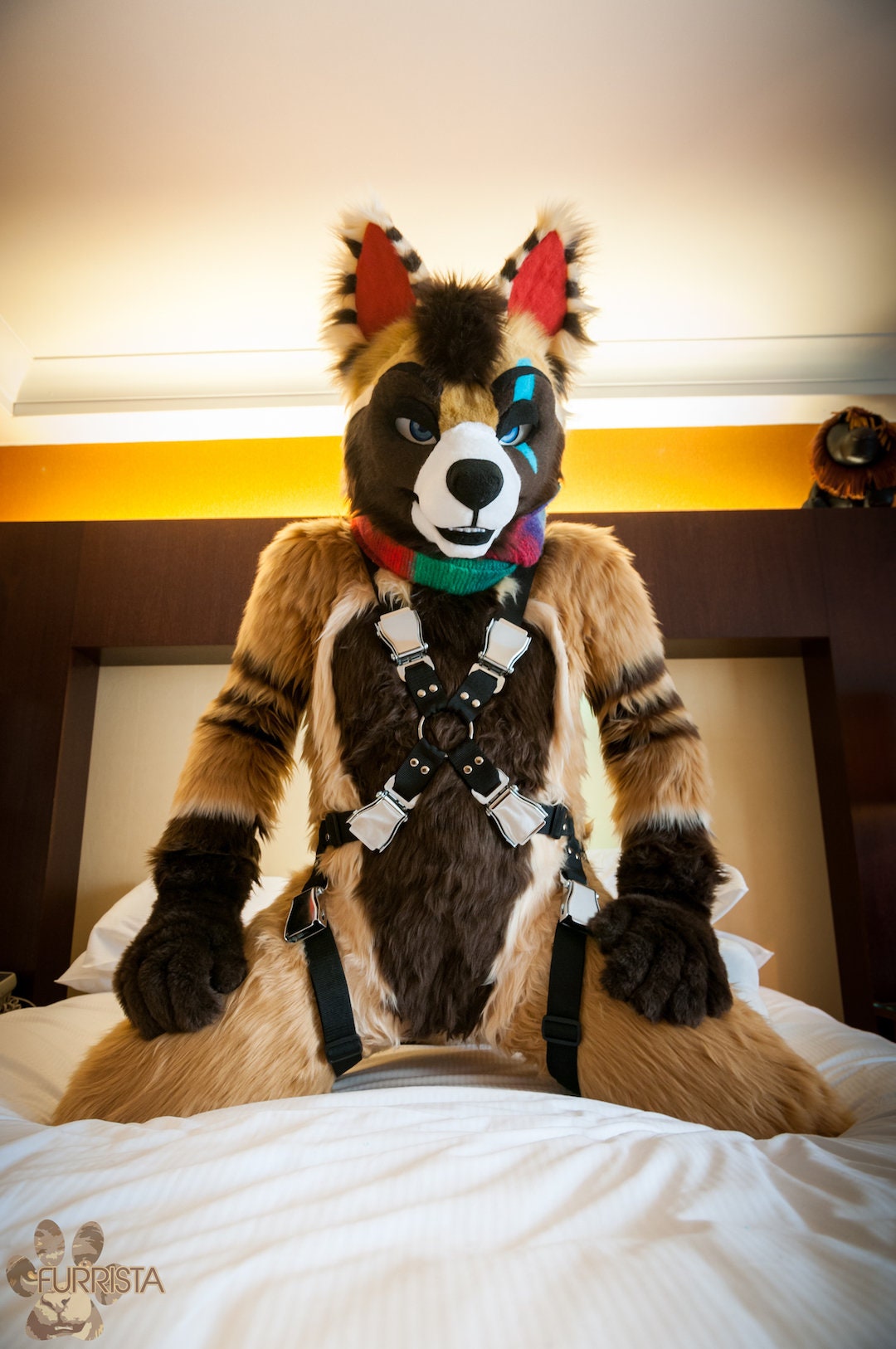 Deluxe nylon fursuit sled dog harness Etsy