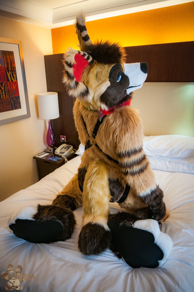 Deluxe nylon fursuit sled dog harness Etsy