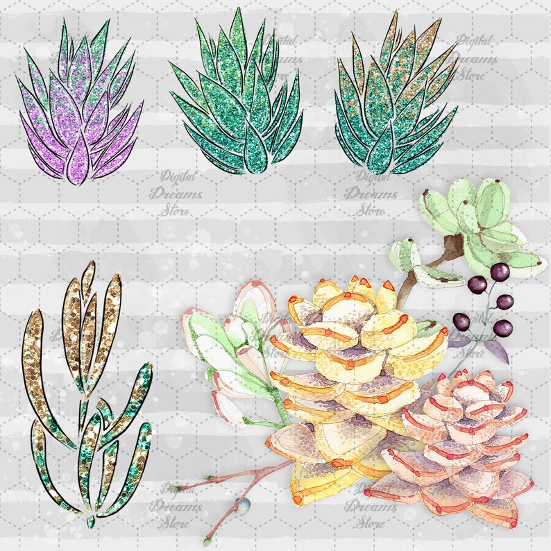 Succulent Clip Art Floral Clip Art Cactus Botanical Planner | Etsy