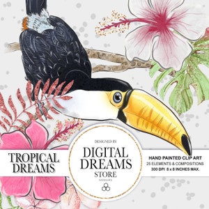 Tropical Clipart, Summer Clipart, Planner Stickers, watercolor Clipart, Flower clipart, Handraw clipart, Summer Illustrations.