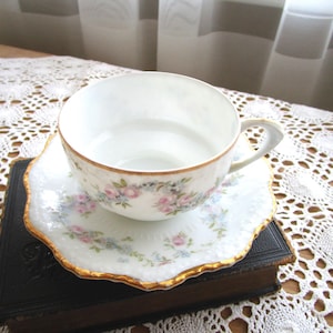 Antike SILESIA Fine Bone China Teetasse und Untertasse Set Vintage deutsches Porzellan Kaffeetasse Weißgoldrand Rose&#39;s Florales Muster