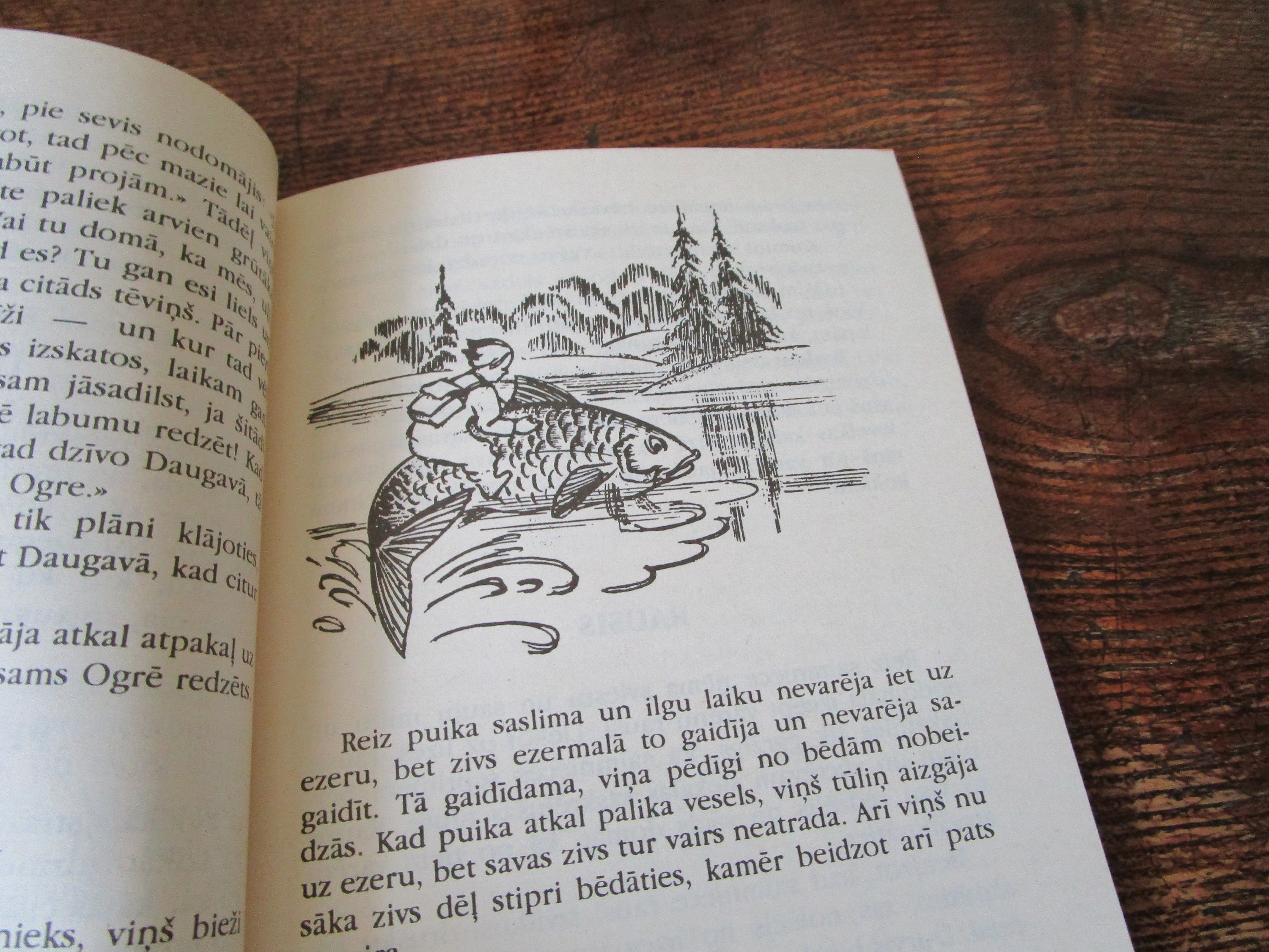 Vintage Latvian Kids Fairy Tale Book pasaku Dārzā - Etsy
