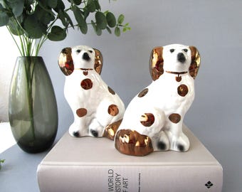 Paar Staffordshire Mantel Hund Figuren King Charles Spaniels Gold und Weiß 7,5 "/ 19 cm hoch Sammler Hundestatue