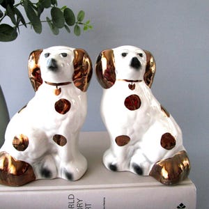 Paar Staffordshire Mantel hondenbeeldjes King Charles Spaniels goud en wit 19 cm hoog hondenstandbeeld cadeau-idee voor verzamelaars