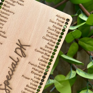 Cartão de cores Stylecraft Special DK incluindo novo organizador de 20 cores - acessório de crochê/tricô e presente imagem 4