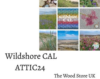 Wildshore CAL Attic 24 Blanket Shade Card