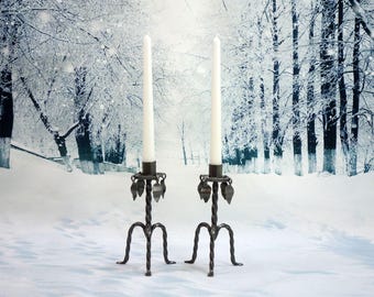 May include: Two black metal candle holders with a twisted design and leaf accents. The candle holders are on a snowy surface with a snowy forest background.