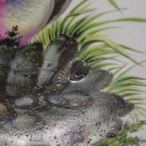 May include: Close-up of a ceramic plate featuring a painted design of a mushroom with a pink and yellow cap, green grass, and grey rocks. The plate has a textured surface with small white dots.