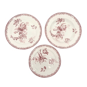 Set of 20 Plates Sarreguemines Red Transferware, Fontanges Dinner Soup and Dessert Plates, Ironstone Tableware Service