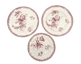 Sarreguemines Red Plates Set of 20 Plates, Fontanges Dinner Soup and Dessert Plates, Ironstone Tableware Service