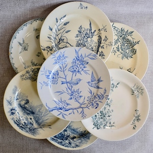 Assiette murale oiseau en pierre de fer bleue et blanche, assiette murale bucolique en transfert d'époque, poterie française anglaise Bordeaux Longwy