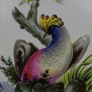 May include: A colourful bird with a yellow crest, pink and blue feathers, and brown wings is perched on a branch with green leaves. The bird is painted on a white background.