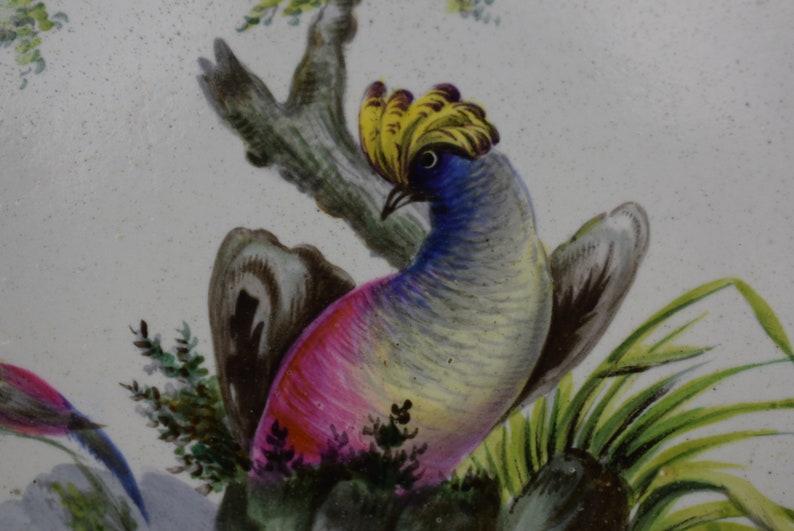 May include: A colourful bird with a yellow crest, pink and blue feathers, and brown wings is perched on a branch with green leaves. The bird is painted on a white background.