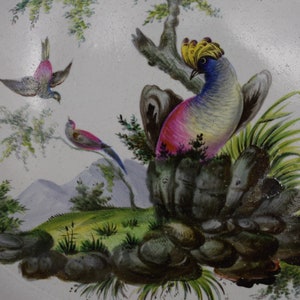 May include: A hand-painted ceramic plate featuring a colourful bird perched on a rock surrounded by green foliage. The bird has a yellow crest, blue body, and pink accents. Two smaller birds are flying in the background.