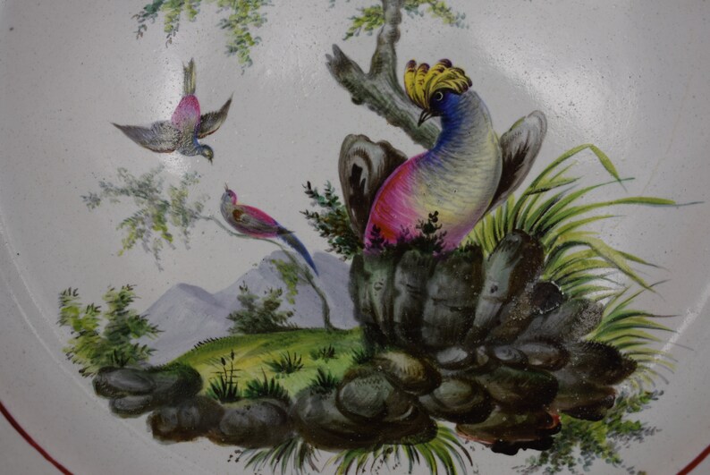May include: A hand-painted ceramic plate featuring a colourful bird perched on a rock surrounded by green foliage. The bird has a yellow crest, blue body, and pink accents. Two smaller birds are flying in the background.