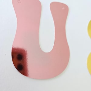 Due graziosi striscioni personalizzati per il secondo compleanno delle bambine, ideali come regalo memorabile Mirror Rose Gold