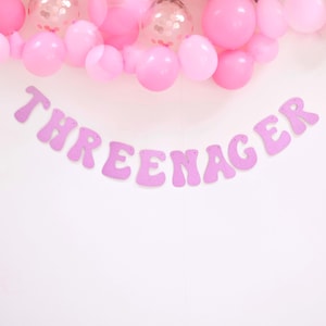 Threenager Banner 3rd Birthday Little Miss Threenager Party Decoration